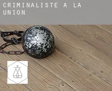 Criminaliste à La Unión