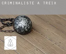 Criminaliste à Treix