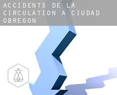 Accidents de la circulation à Ciudad Obregón