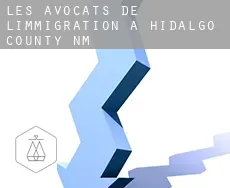 Les avocats de l'immigration à  Hidalgo