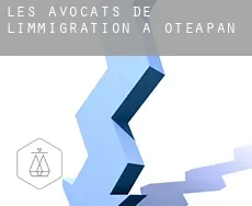 Les avocats de l'immigration à  Oteapan