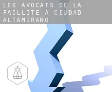 Les avocats de la faillite à Ciudad Altamirano