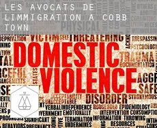 Les avocats de l'immigration à  Cobb Town